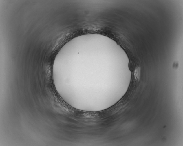 X0000112371299200909101312
