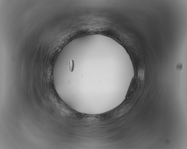 X0000112371300200909101312
