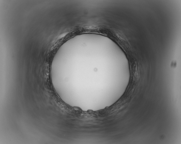 X0000112371301200909101312