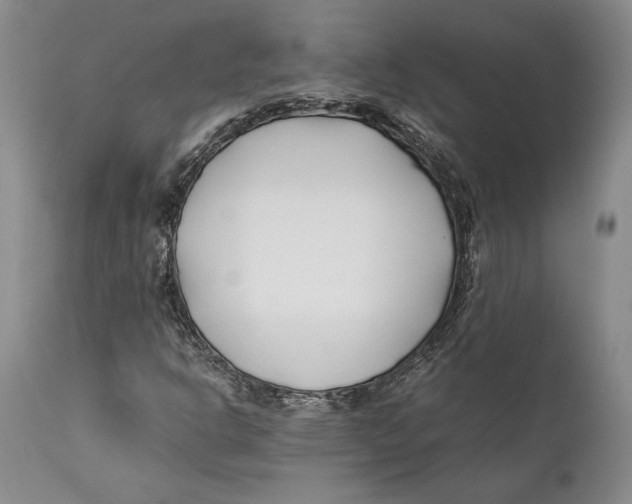 X0000112371302200909101312