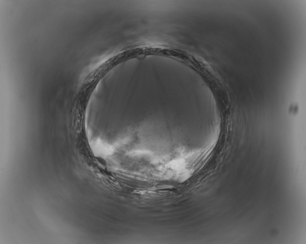 X0000112371303200909101312