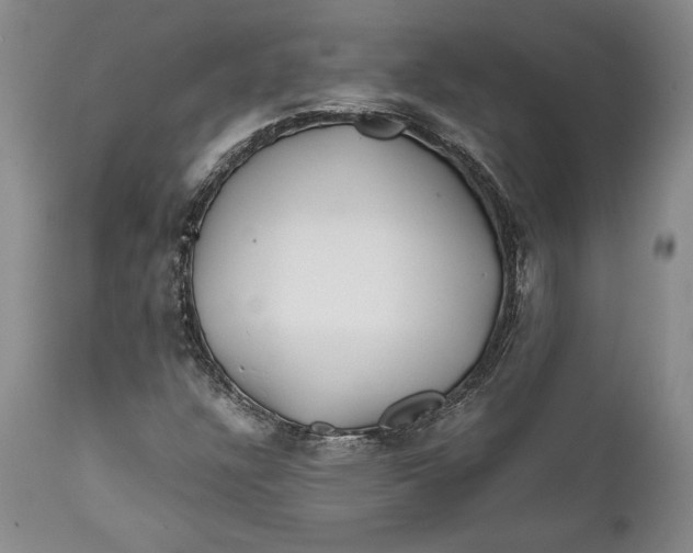 X0000112371304200909101312