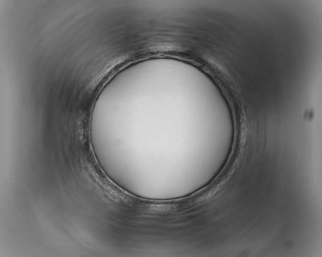 X0000112371305200909101312