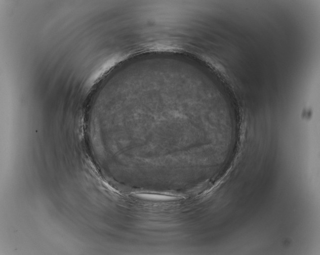 X0000112371306200909101312