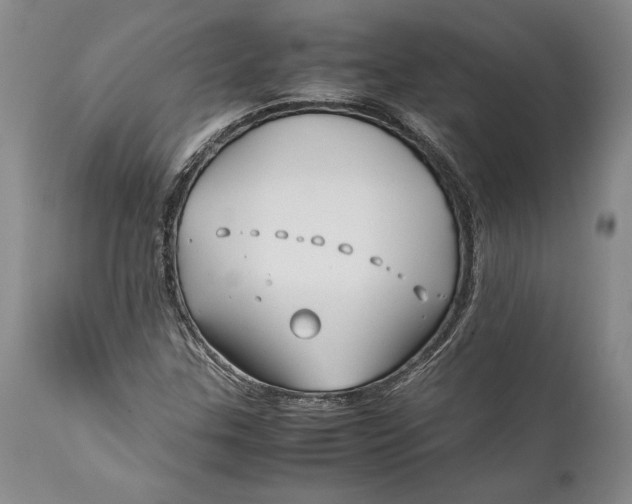 X0000112371307200909101312