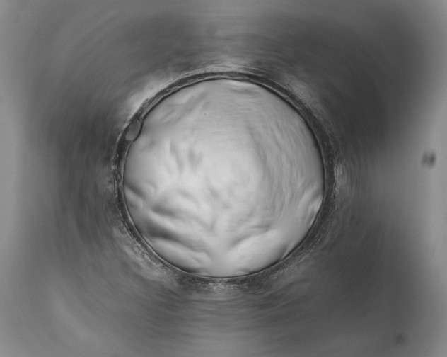 X0000112371308200909101312