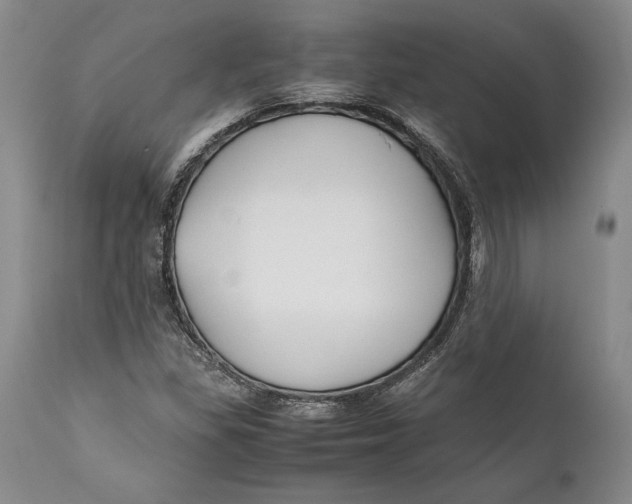 X0000112371309200909101312