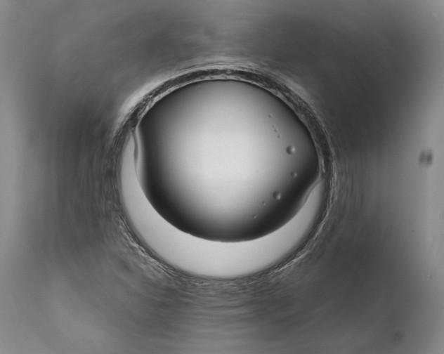 X0000112371310200909101312