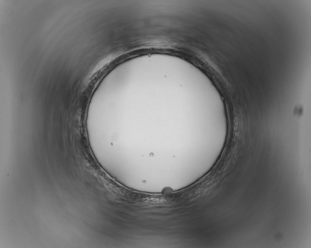 X0000112371315200909101312