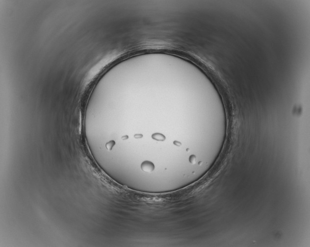 X0000112371317200909101312