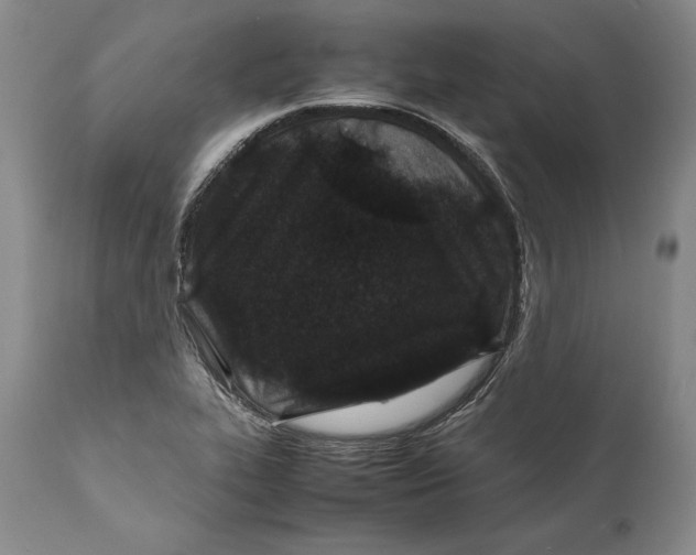 X0000112371319200909101312