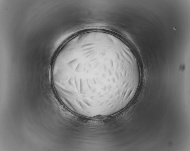 X0000112371320200909101312