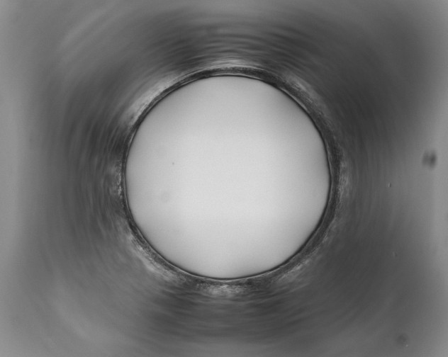 X0000112371321200909101312