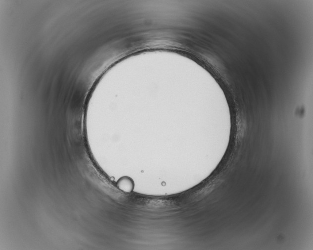 X0000112371322200909101312