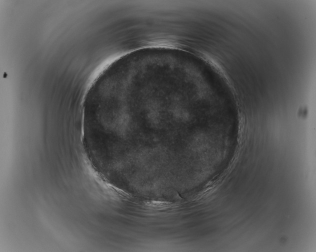 X0000112371323200909101312