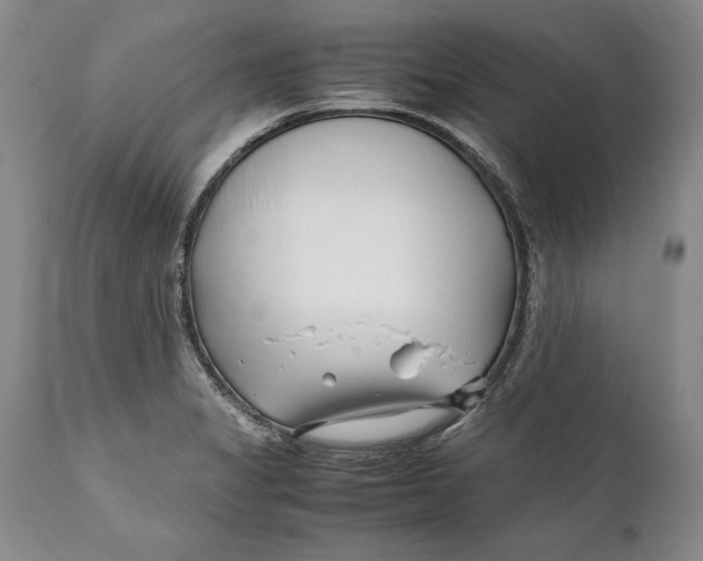 X0000112371325200909101312