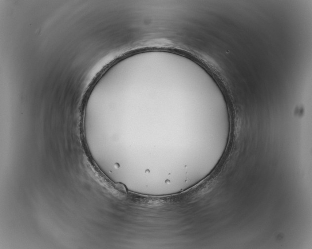 X0000112371326200909101312