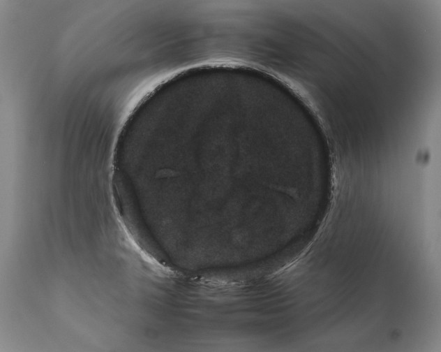 X0000112371327200909101312