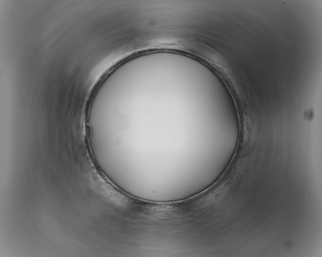X0000112371328200909101312