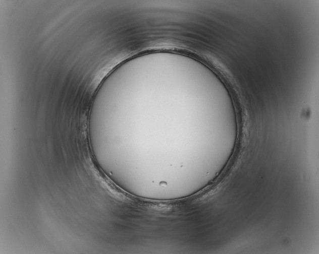X0000112371329200909101312