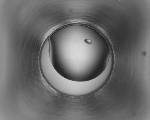 X0000112371330200909101312