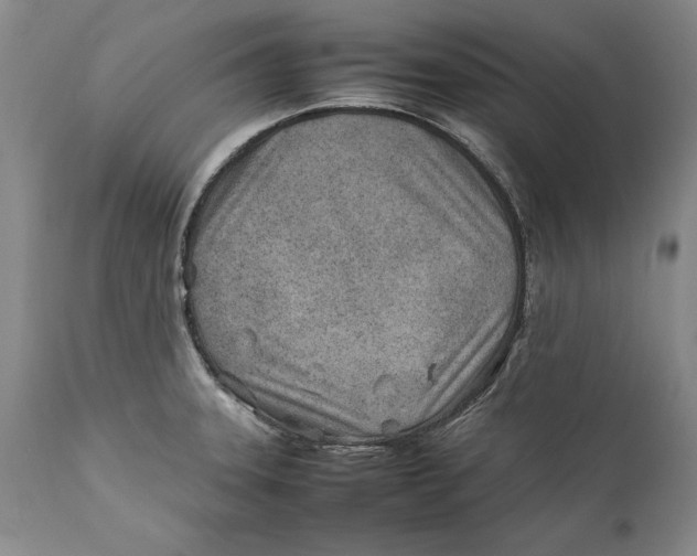 X0000112371331200909101312