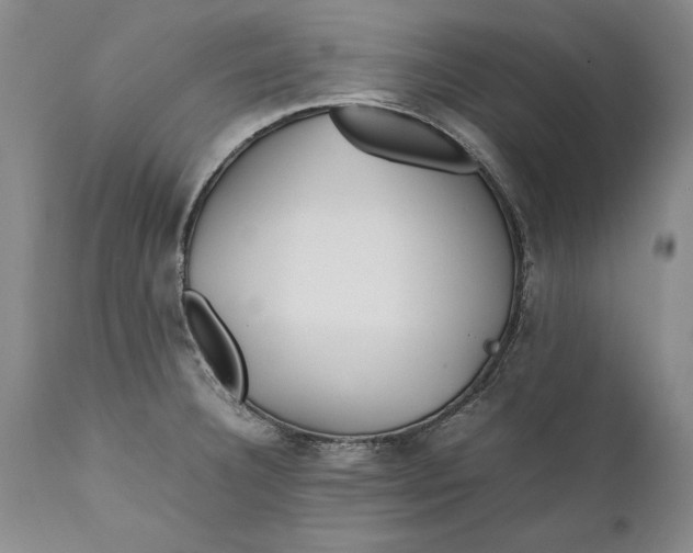X0000112371332200909101312