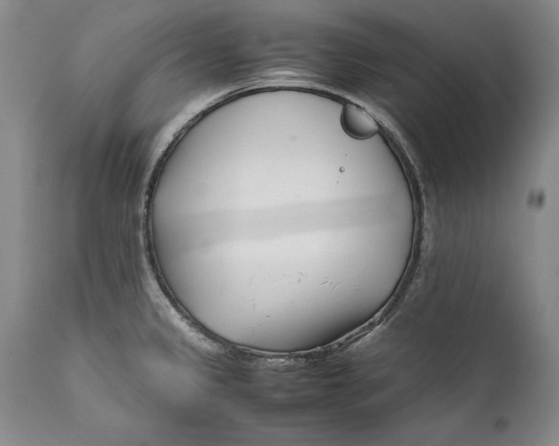 X0000112371333200909101312