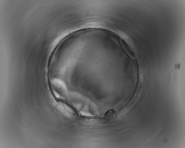 X0000112371334200909101312