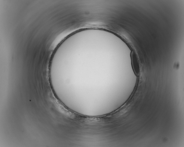 X0000112371336200909101312