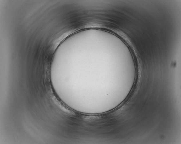 X0000112371337200909101312