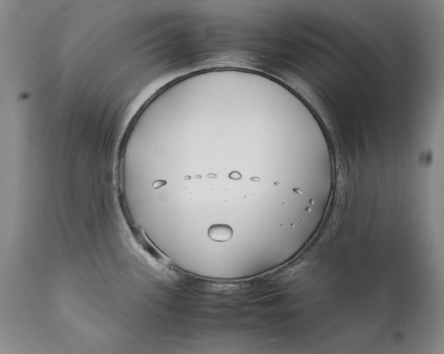 X0000112371339200909101312