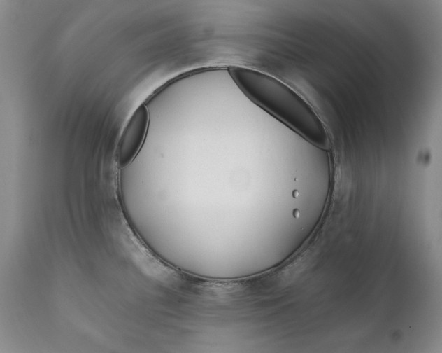 X0000112371340200909101312