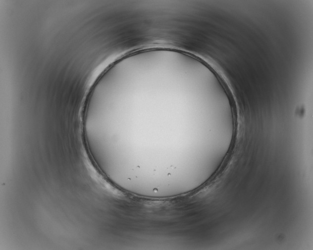 X0000112371341200909101312