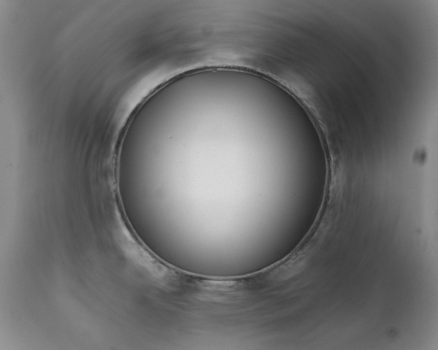 X0000112371342200909101312