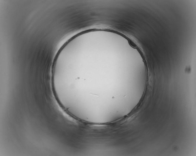 X0000112371343200909101312