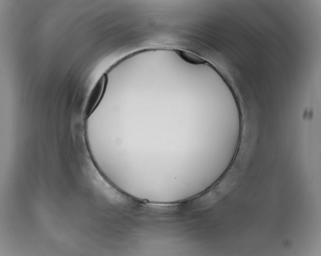 X0000112371344200909101312