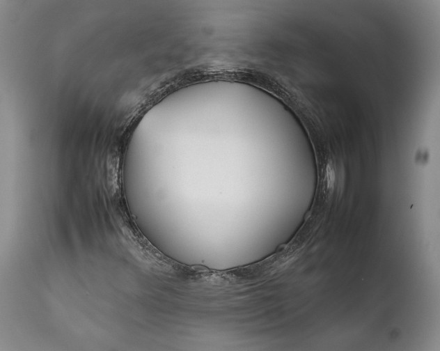 X0000112371348200909101312
