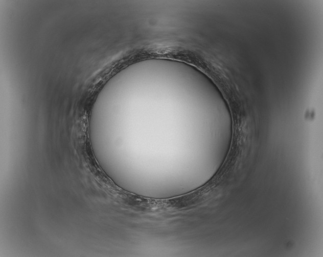 X0000112371349200909101312