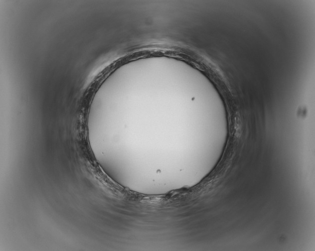 X0000112371352200909101312