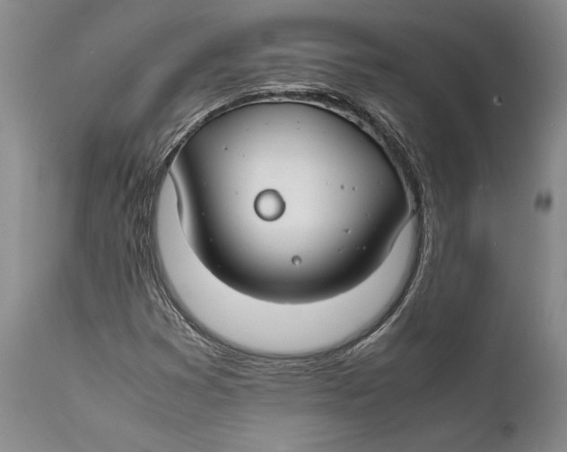 X0000112371353200909101312