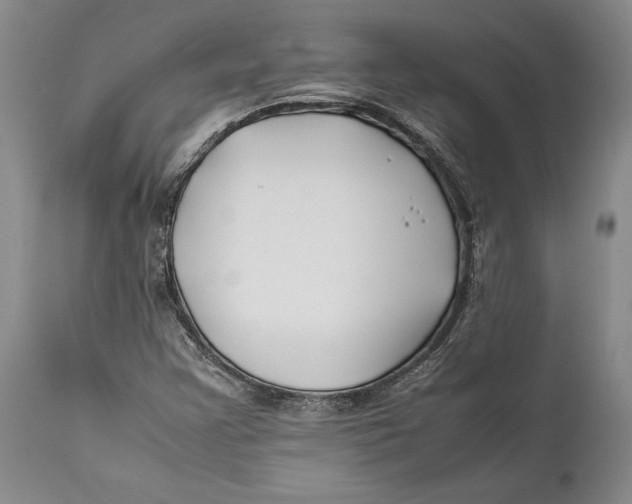 X0000112371355200909101312