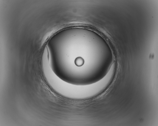 X0000112371357200909101312