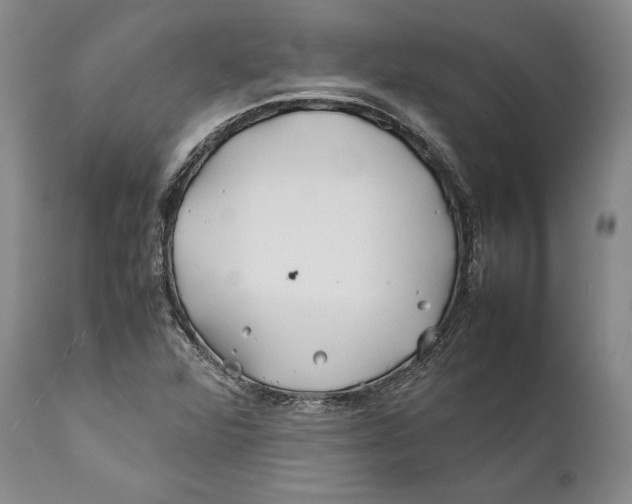 X0000112371360200909101312