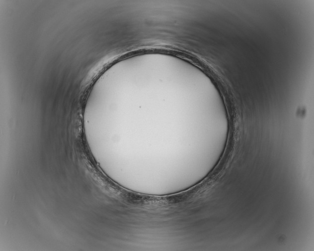 X0000112371363200909101312