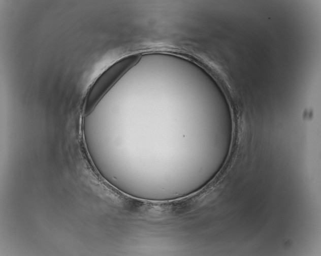 X0000112371365200909101312