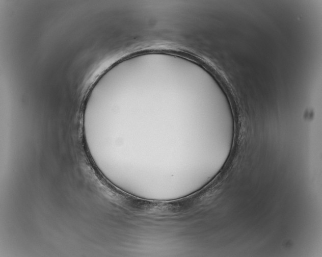 X0000112371367200909101311