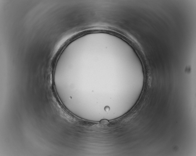 X0000112371368200909101311