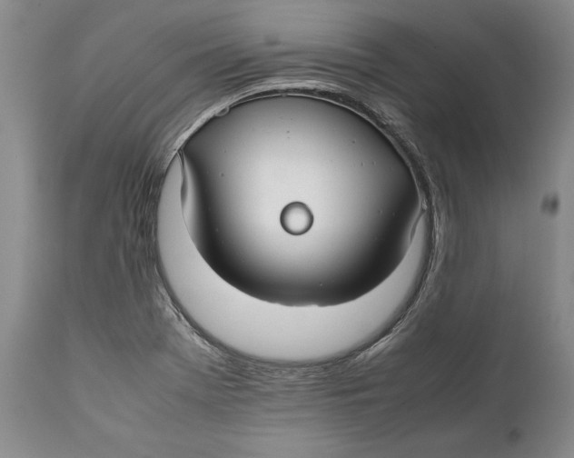 X0000112371369200909101311