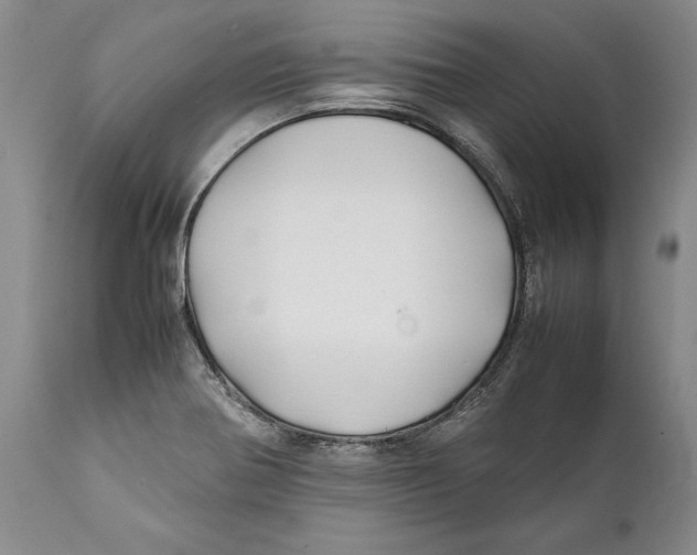 X0000112371370200909101311